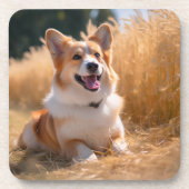 オリジナルペット写真 コースター (正面)