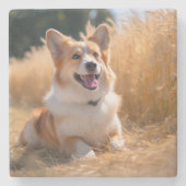 オリジナルペット写真 ストーンコースター (正面)