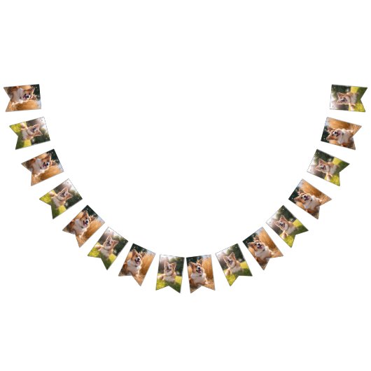 オリジナルペット写真 バンティングフラッグ (全)