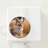 オリジナルペット写真 フェイバータグ (インサイチュ)