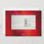 オリジナルペット2写真|かわいいタイポグラフィーハoliday シーズンカード (裏面)