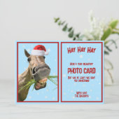 オリジナルユーモア馬パンプリント写真 シーズンカード (スタンド正面)