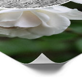 オリジナル写真から作成した繊細な白いバラの花と雨滴の抽象フレーム 自分だけの写真ポスターを作成 白い ポスター (角)