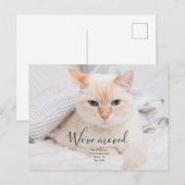 オリジナル写真の告知ポストカード 案内ポストカード (正面/裏面)