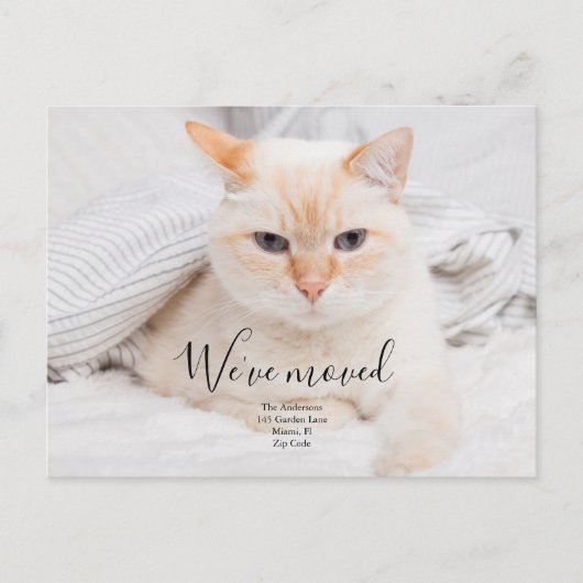 オリジナル写真の告知ポストカード 案内ポストカード (正面)