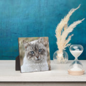 オリジナル写真ペット猫メモリアルプレート フォトプラーク (インサイチュ)
