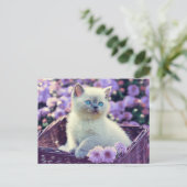 オリジナル写真 キッテン ライラックの花 ポストカード (スタンド正面)