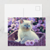 オリジナル写真 キッテン ライラックの花 ポストカード (正面/裏面)