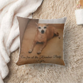 オリジナル写真＆名前のペットメモリアル クッション (ブランケット)