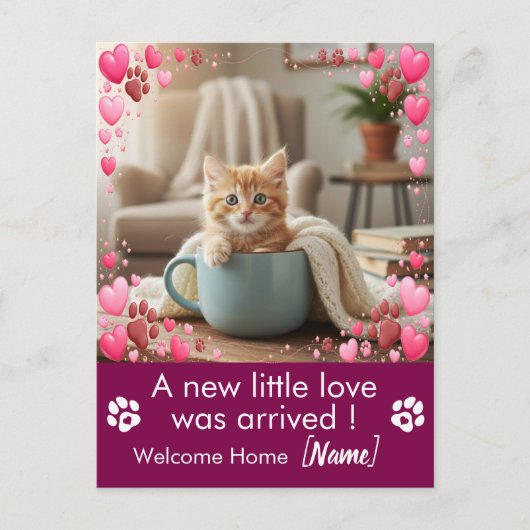 オリジナル写真 新しい子猫のお知らせポストカード ポストカード (正面)