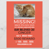 オリジナル写真, 行方不明, 迷いペット チラシ (裏面)