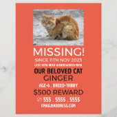 オリジナル写真, 行方不明, 迷いペット チラシ (正面)