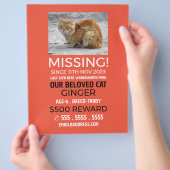 オリジナル写真, 行方不明, 迷いペット チラシ (手)