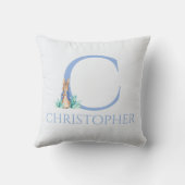 オリジナル名 ピーターうさぎ クッション (裏面)