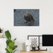 オリジナル怒バード?? ポスター (ホームオフィス)