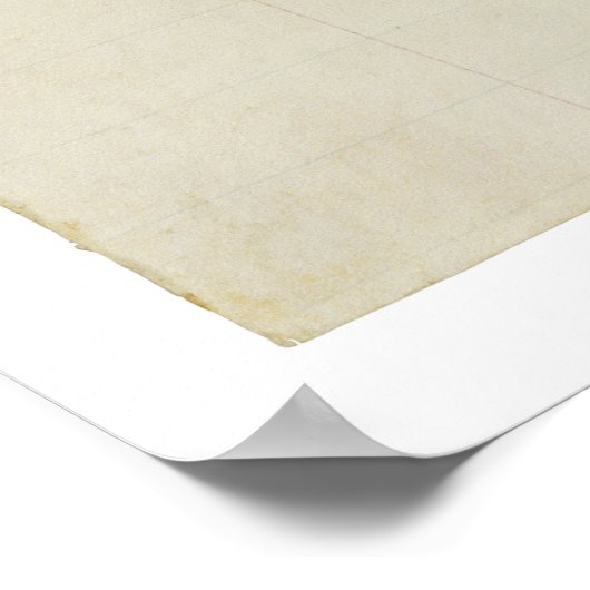 オリジナル第15回米国憲法改正 ポスター (角)