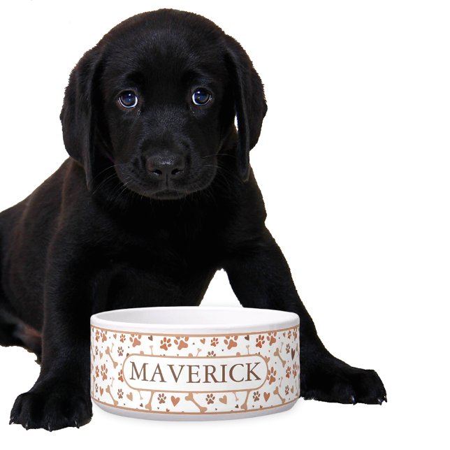 オリジナル肉球と骨 ボウル (クリエイターアップロード済み)