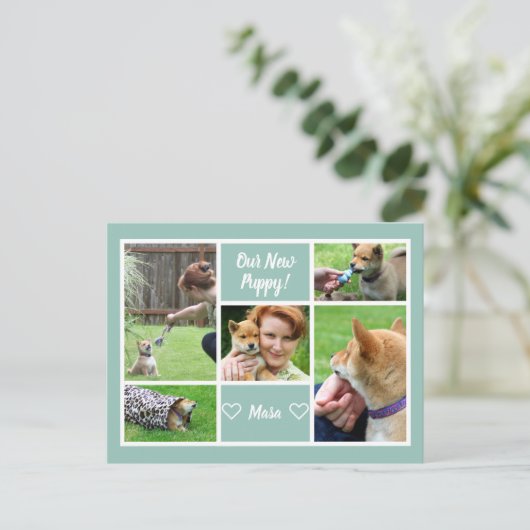 オリジナル5枚写真コラージュ 家族のペット発表 ポストカード (スタンド正面)