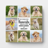 オリジナル8枚写真コラージュ ペット犬 喪失 記念 フォトプラーク (正面)