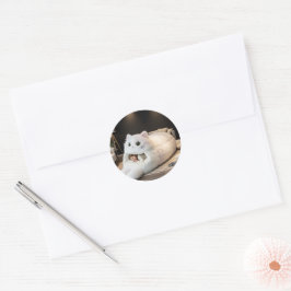 オリジナル かわいい猫ベッド ラウンドシール