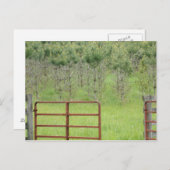 オリジナル インティ・ザ・パインズ ポストカード (正面/裏面)