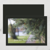 オリジナル エバーグリーン 風景 自然写真 濃い緑 シーズンカード (正面/裏面)