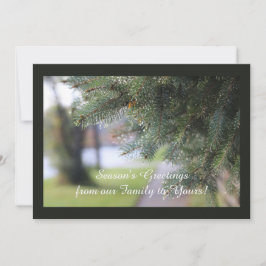 オリジナル エバーグリーン 風景 自然 写真 濃い緑 シーズンカード