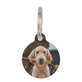 オリジナル カスタム フォトとテキスト ペット　ネームタグ