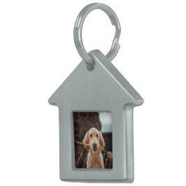 オリジナル カスタム フォト ペットネームタグ