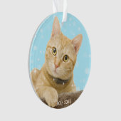オリジナル キンジャネコ タビー猫 写真 オーナメント (正面)