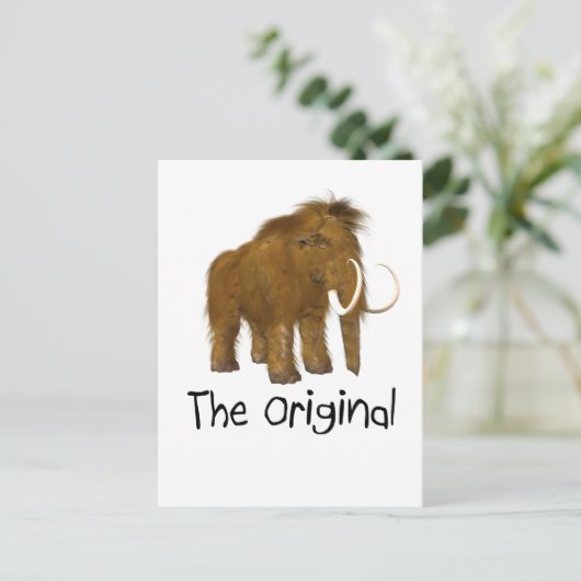 オリジナル ポストカード (スタンド正面)