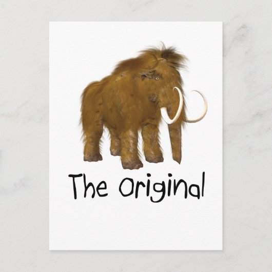 オリジナル ポストカード (正面)