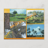 オリジナル ポストカード - ハワイ コラージュ #9 (正面)
