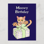 オリジナル ユニーク 誕生日 猫 イラスト ポストカード (正面)