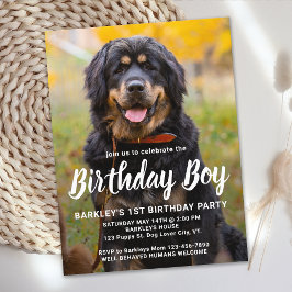 オリジナル 犬の誕生日 ペット フォト パーティー 招待状
