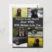 オリジナル 現代ペットメモリアル 6枚写真コラージュ ポストカード (正面/裏面)