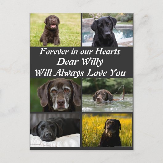 オリジナル 現代ペットメモリアル 6枚写真コラージュ ポストカード (正面)