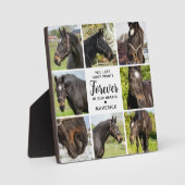 オリジナル 馬 記念 8 枚 ペット フォト コラージュ フォトプラーク (正面)