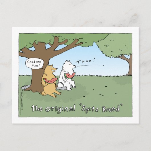 オリジナル「Spitz Bread」漫画 ポストカード (正面)