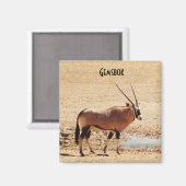 オリックスガゼラガラガディアフリカ マグネット (正面/裏面)