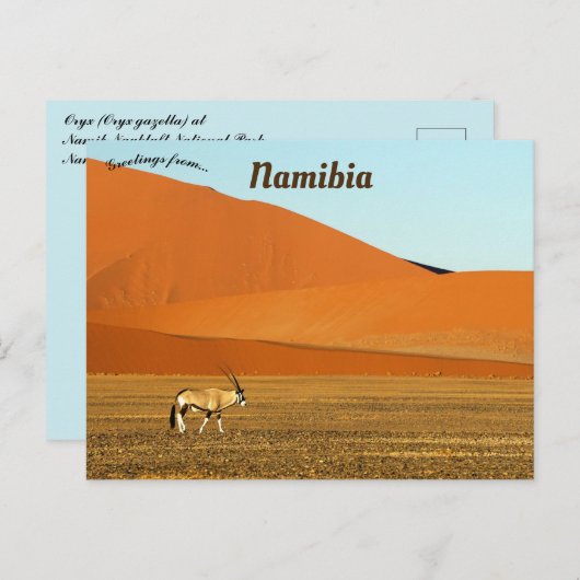 オリックスガゼラナミブナウクルフトナショナルパークナミビア ポストカード (正面/裏面)