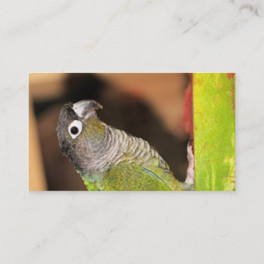 オリバーさん 名刺 (裏面)