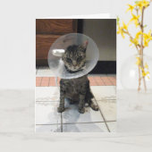 オリバーのGet Well Card カード (黄色い花)