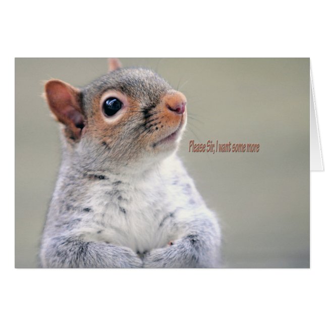 オリバーツイストリス (正面横)