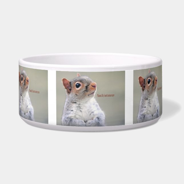 オリバーツイストリス ボウル (正面)