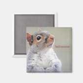 オリバーツイストリス マグネット (正面/裏面)