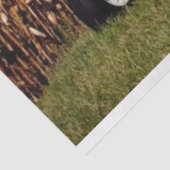 オリバートラクターコーンフィールドティッシュペーパーデクページ 薄葉紙 (詳細)