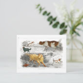 オリバー・ゴールドスミスによるさまざまな犬のコレクション ポストカード (スタンド正面)