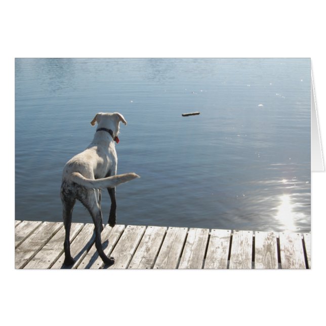 オリバー・ザ・ゴールデン・ラボ (正面横)