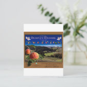 オリンピア果樹園 ポストカード (スタンド正面)